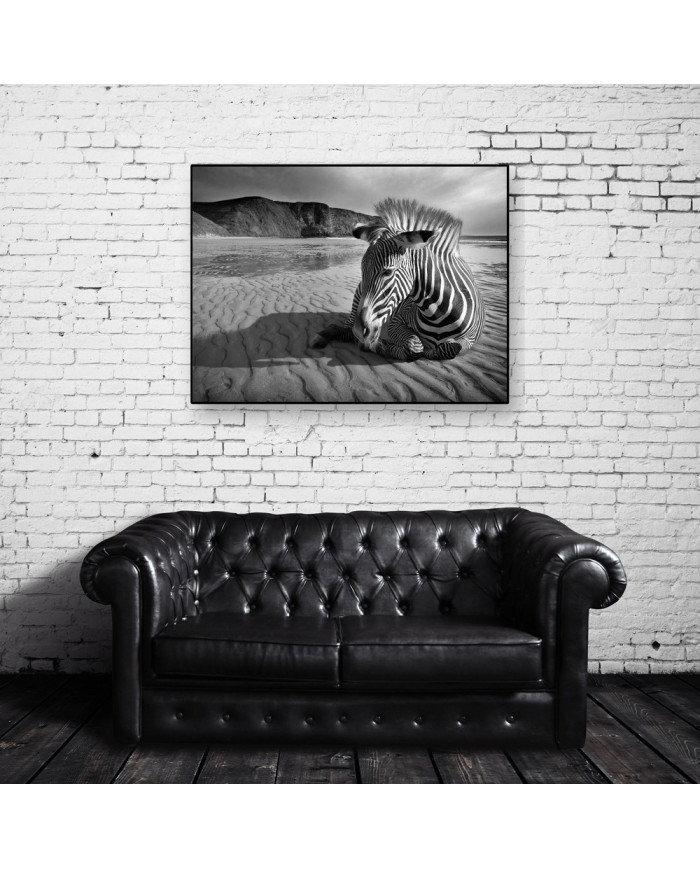 Cebra africana, Parque Nacional Kruger, SudÁfrica