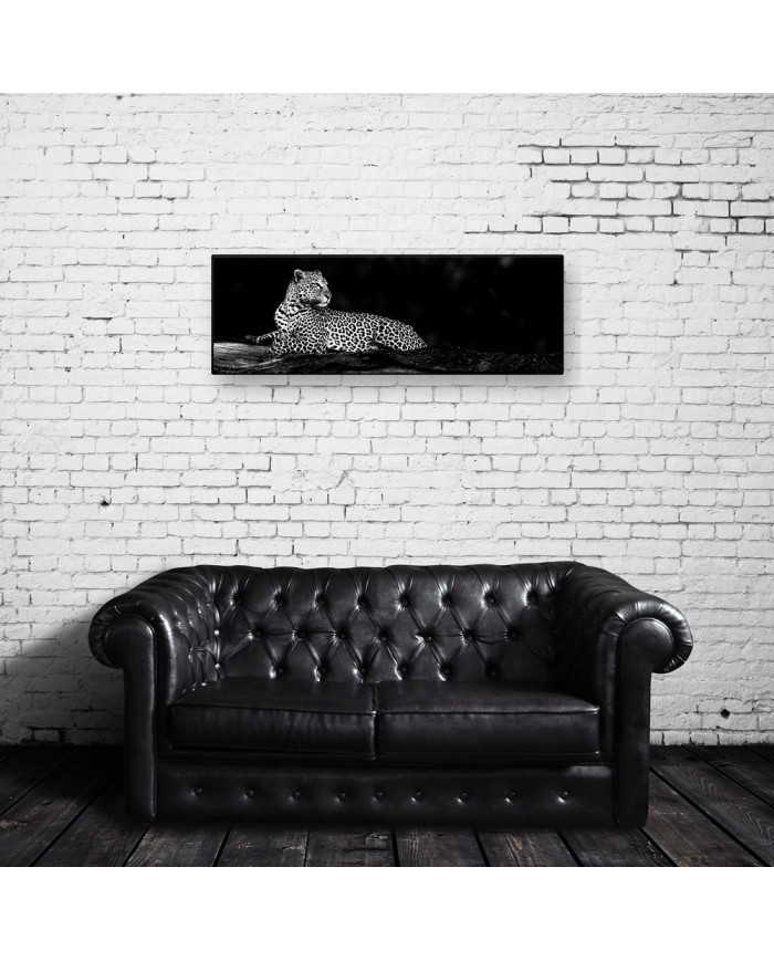 Leopardo, Parque Nacional Masai Mara, Tanzania