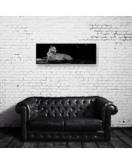 Leopardo, Parque Nacional Masai Mara, Tanzania