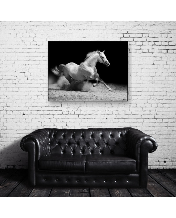 Caballo blanco cabalgando