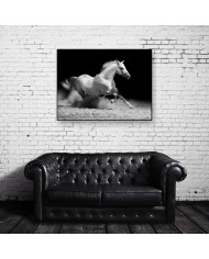 Caballo blanco cabalgando