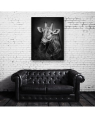 Jirafa, parque nacional Serengueti, Tanzania