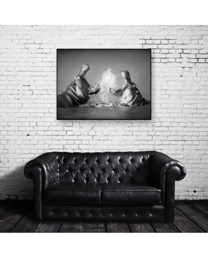 Lucha de hipopótamos, parque natural Serengueti, Tanzania