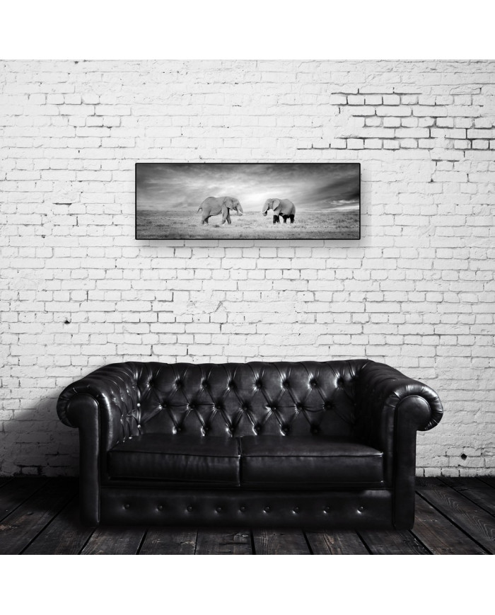 Elefante, Parque Nacional Serengueti, Tanzania