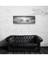 Elefante, Parque Nacional Serengueti, Tanzania