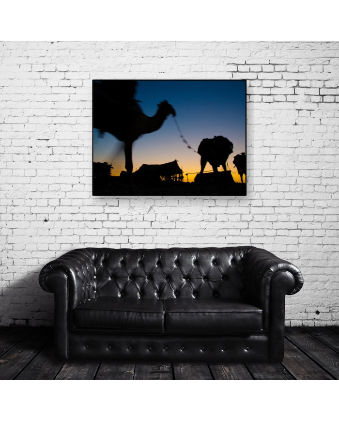 Camellos por el desierto de Marrakech,Marruecos