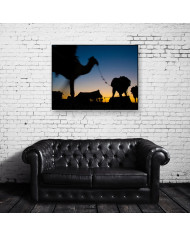 Camellos por el desierto de Marrakech,Marruecos