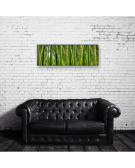 Bosque de bambús,India