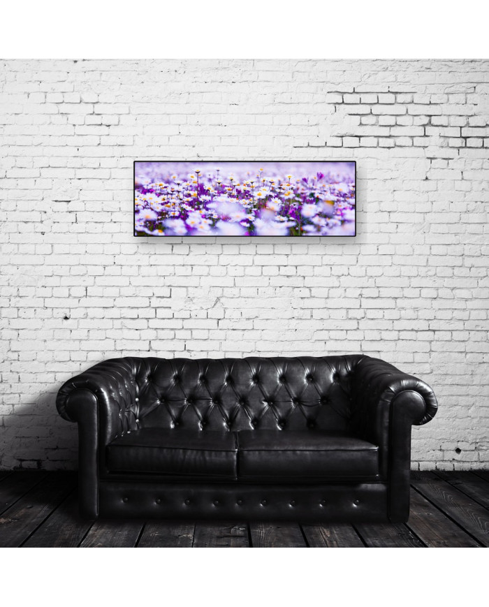 Margaritas en primavera