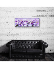 Margaritas en primavera