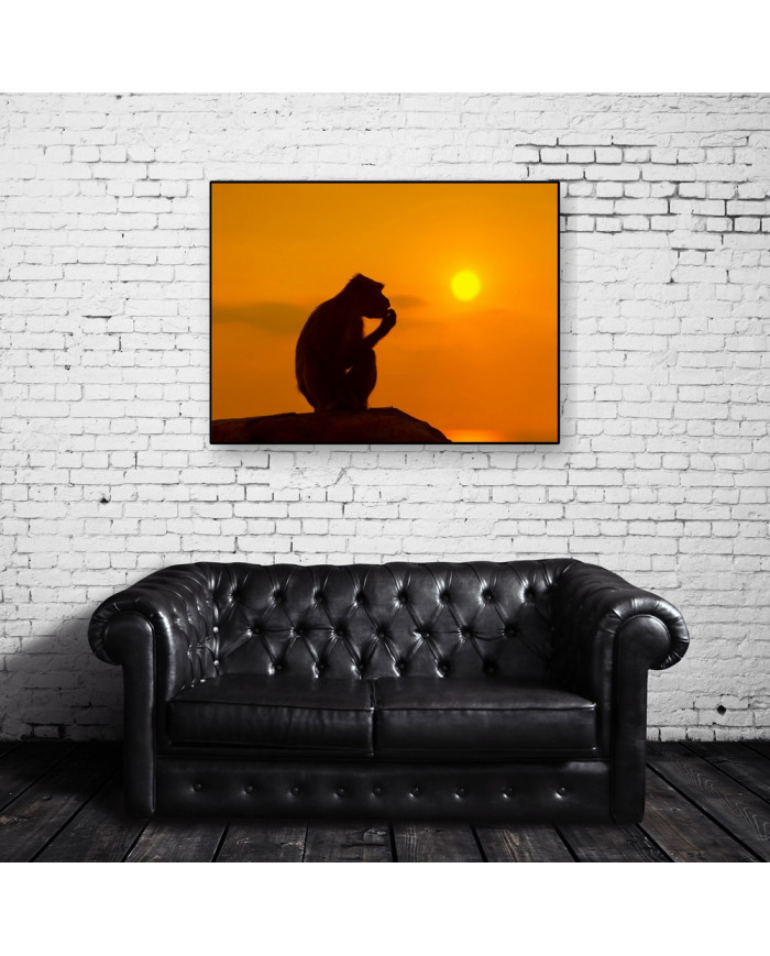 Mono al atardecer,Parque Nacional Serengueti,Tanzania