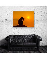 Mono al atardecer,Parque Nacional Serengueti,Tanzania