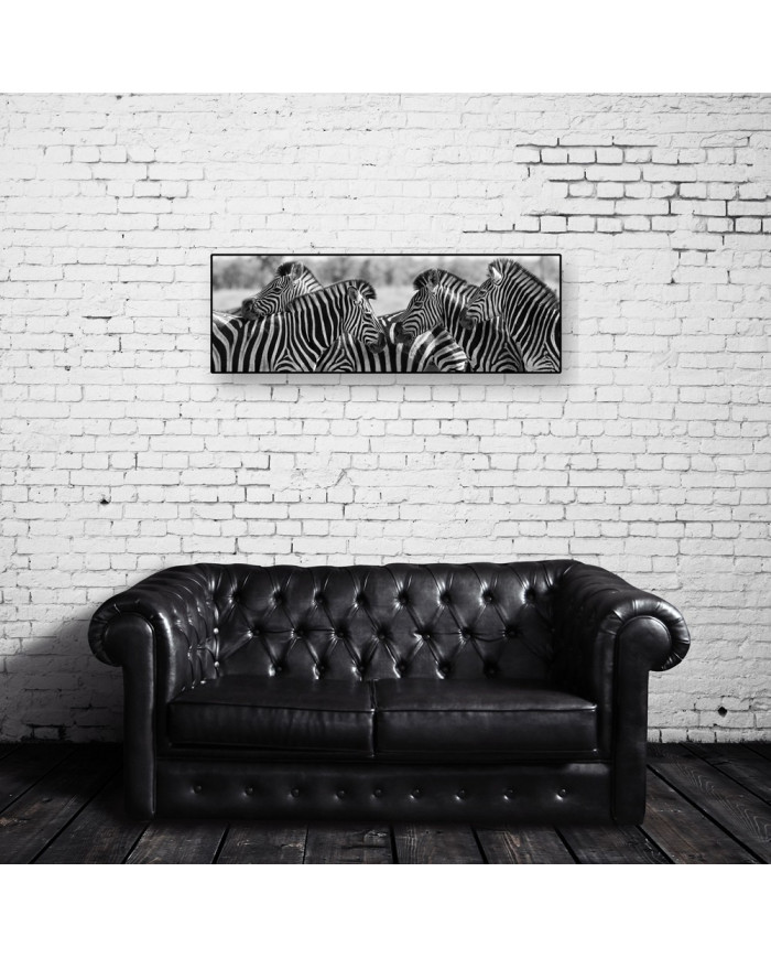 Manada de cebras,Parque Nacional Kruger,SudÁfrica