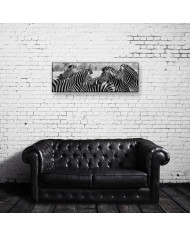 Manada de cebras,Parque Nacional Kruger,SudÁfrica