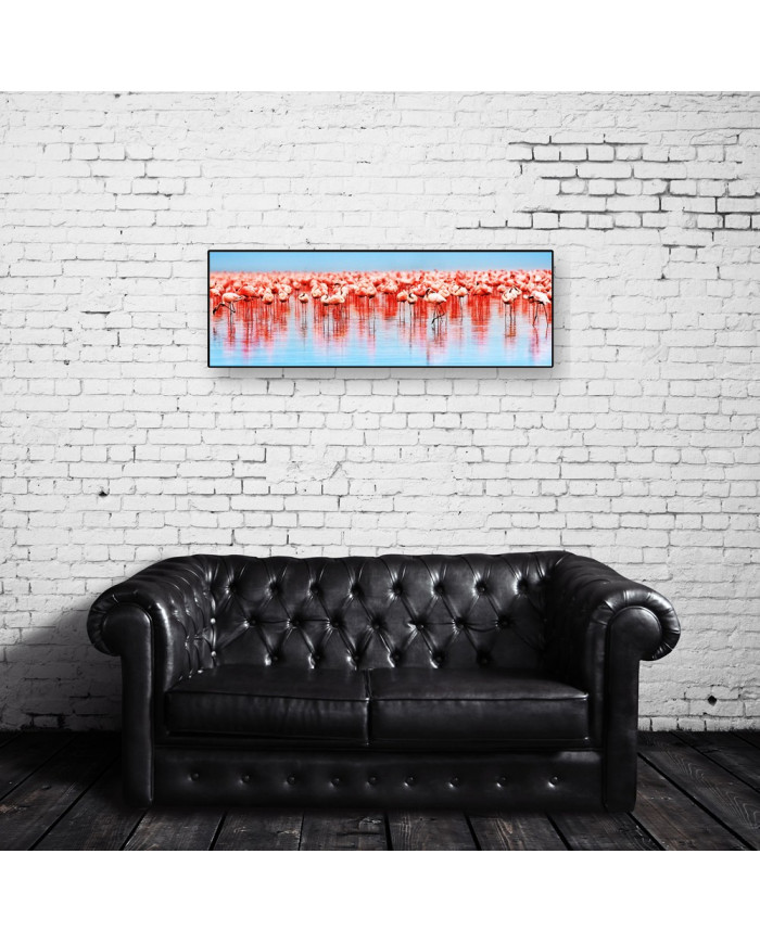 Flamencos,lago de Nakuru,Kenia