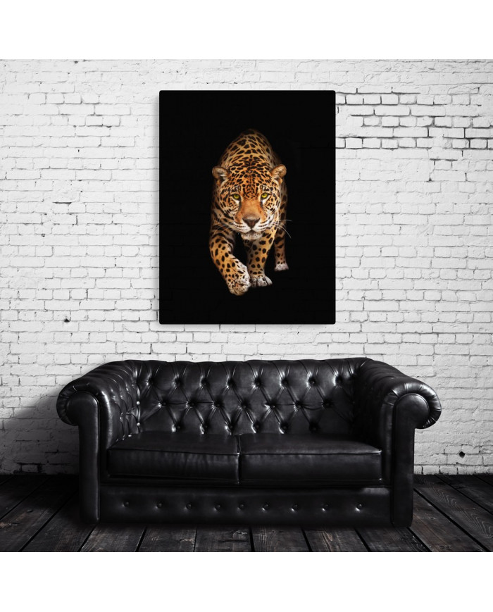 Retrato de un jaguar, Costa Rica