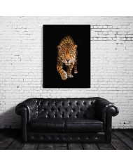 Retrato de un jaguar, Costa Rica