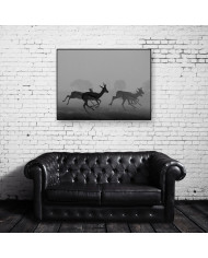 Antílopes en estampida,Kruger National Park,Sudáfrica