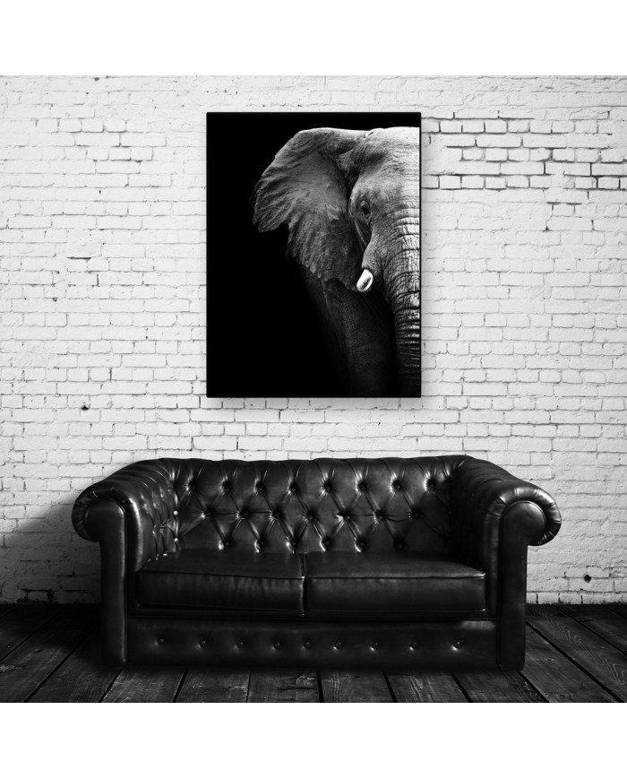 Retrato de un elefante, Parque Nacional Serengueti, Tanzania