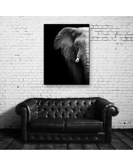 Retrato de un elefante, Parque Nacional Serengueti, Tanzania