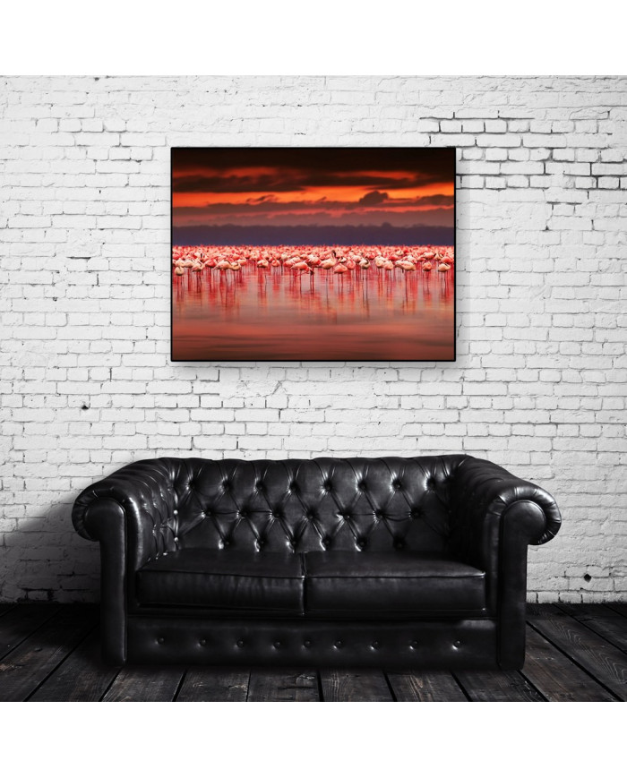 Flamencos en el lago del Parque Nacional de Nakuru, Kenia