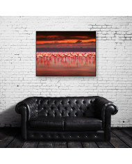 Flamencos en el lago del Parque Nacional de Nakuru, Kenia