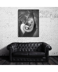 Bebé elefante consolándose con su madre, Parque Nacional Etosha, Namibia