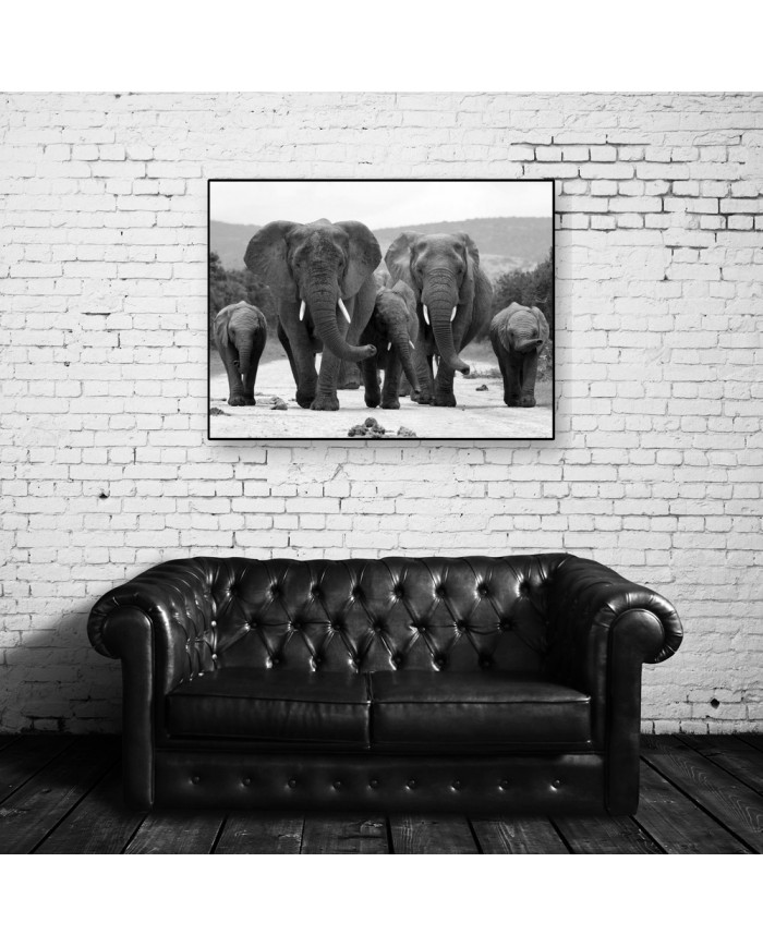 Manada de elefantes, parque nacional Kruger, SudÁfrica