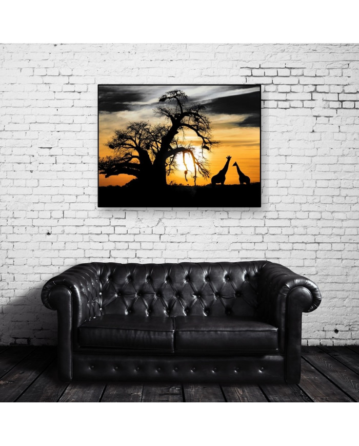 Sabana africana con baobab y jirafas