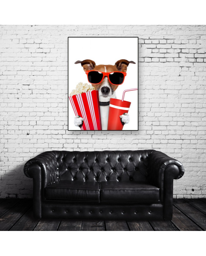 Perro afrancesado viendo una película