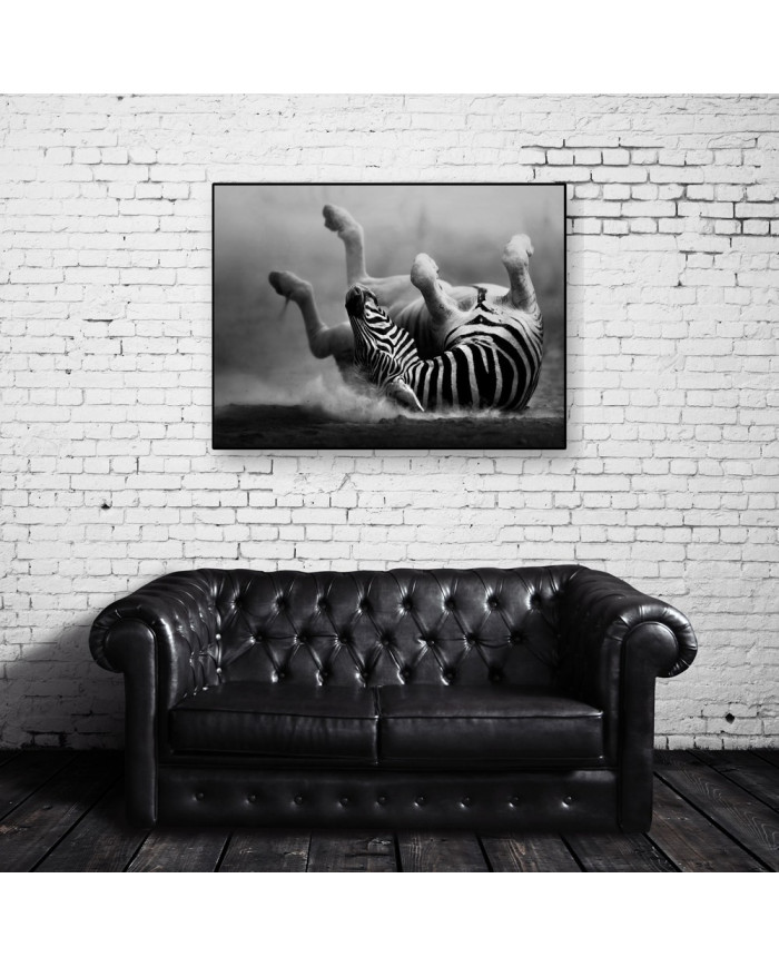 Cebra del Parque Nacional de Ngorongoro, Tanzania