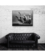 Cebra del Parque Nacional de Ngorongoro, Tanzania