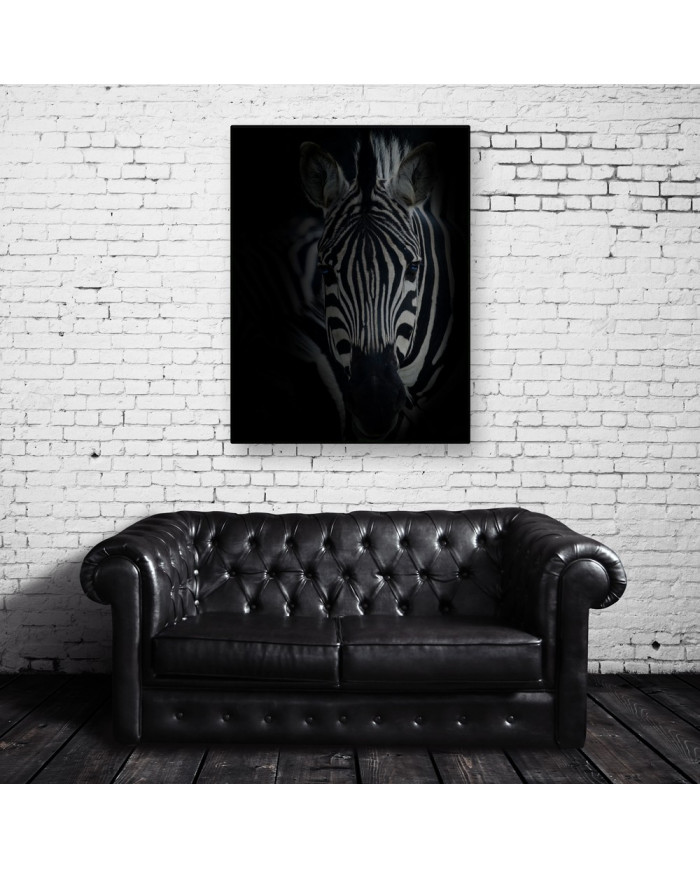 Retrato de una cebra  Parque Nacional Serengueti, Tanzania