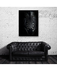 Retrato de una cebra  Parque Nacional Serengueti, Tanzania