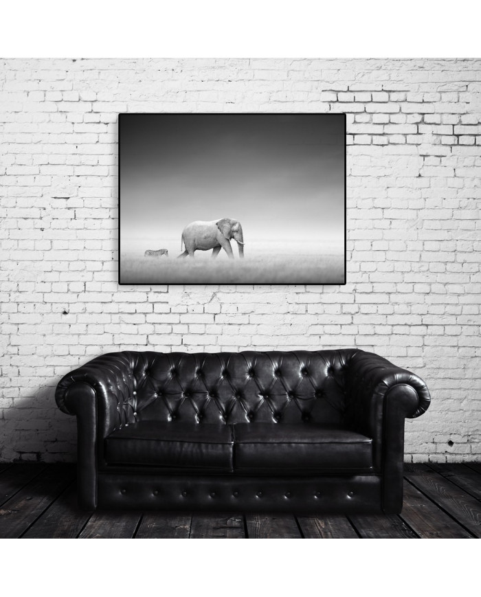 Elefante y cebra en el Parque Nacional de Etosha, Namibia