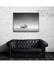 Elefante y cebra en el Parque Nacional de Etosha, Namibia