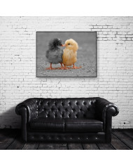 El beso de los pollitos