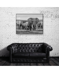 Manada de elefantes,Addo Elephant National Park,Sudáfrica