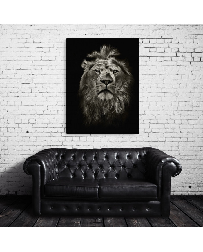 Retrato del león, Parque Nacional Masai Mara, Tanzania