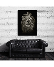 Retrato del león, Parque Nacional Masai Mara, Tanzania