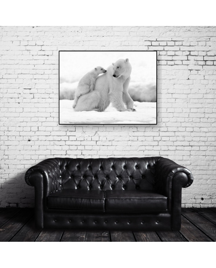 Oso polar con su cría