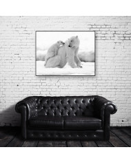 Oso polar con su cría