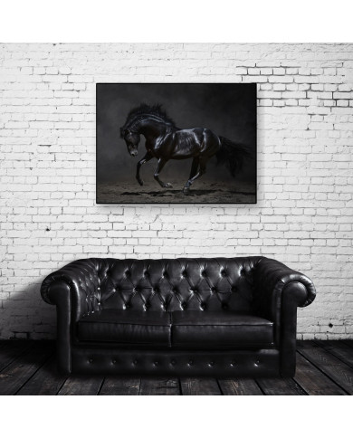 Caballo negro galopando Caballo negro galopando