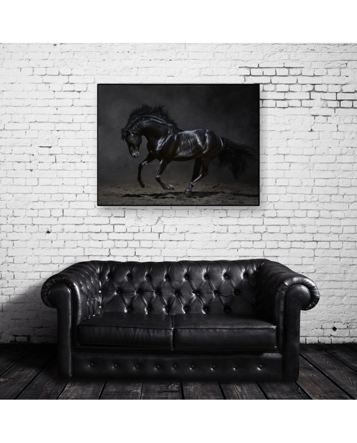 Caballo negro galopando