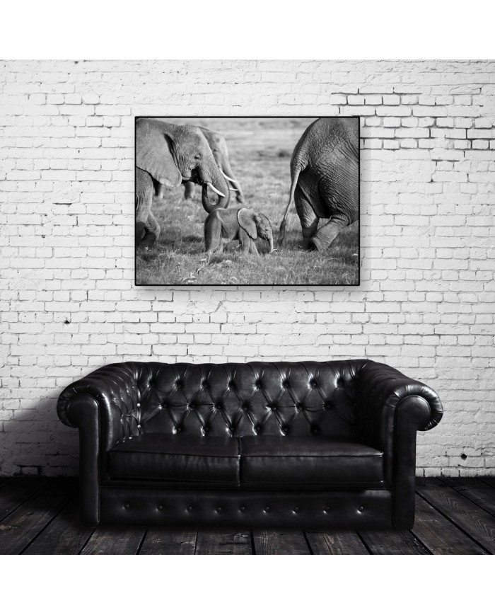 Familia de Elefantes en la sabana, Safari in Amboseli, Kenia