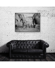 Familia de Elefantes en la sabana, Safari in Amboseli, Kenia