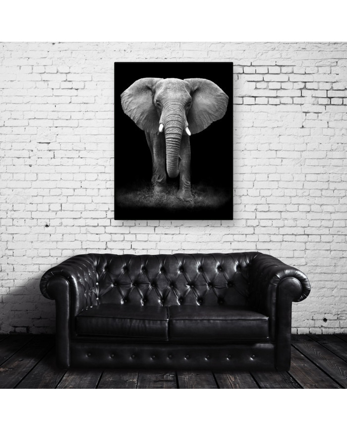 Elefante en la reserva de Gondwana, SudÁfrica