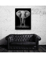 Elefante en la reserva de Gondwana, SudÁfrica