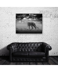 Cheetah, Parque Nacional Masai Mara, Tanzania