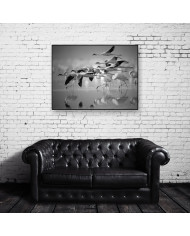 Bandada de flamencos enanos, Parque Nacional Nakuru, Kenia